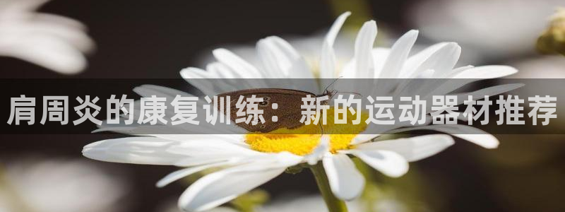 fb体育:肩周炎的康复训练:新的运动器材推荐