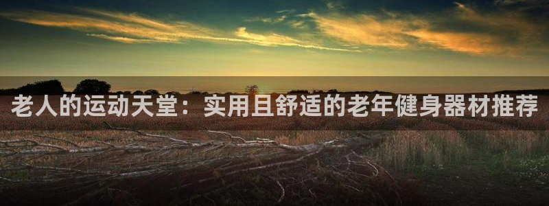 fb体育娱乐平台:老人的运动天堂:实用且舒适的老年健身器材推