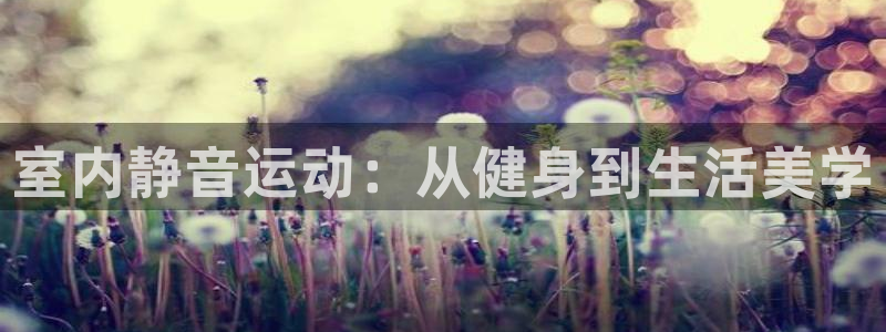 fb体育招商电话是多少啊:室内静音运动:从健身到生活美学